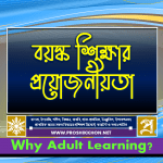 Adult Education 2