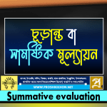 Summative Evaluation